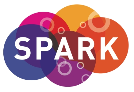 spark ondernemerschap aanjagen